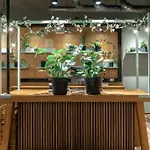 Hotel Original Sokos Koljonvirta 4*