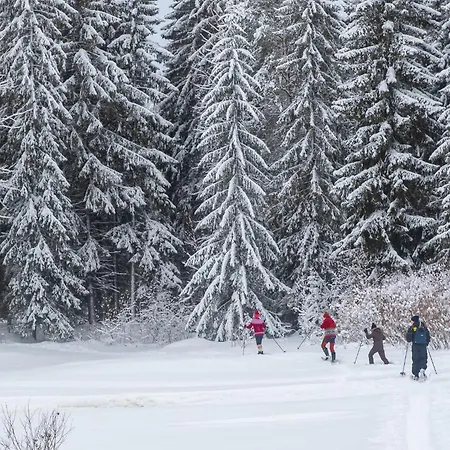 Original Sokos Koljonvirta ホテル イーサルミ