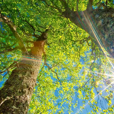 Original Sokos Koljonvirta Hotell