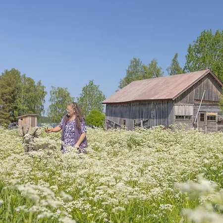Original Sokos Koljonvirta