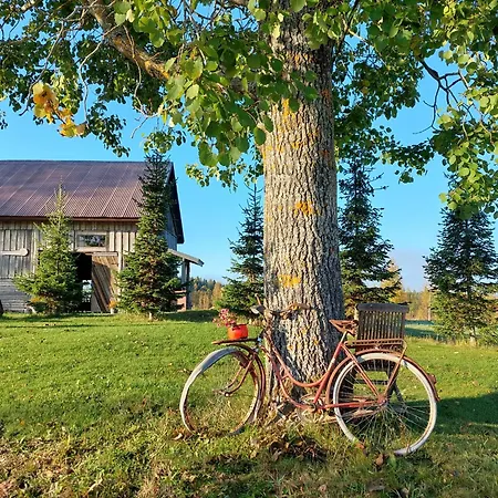 Original Sokos Koljonvirta 4*