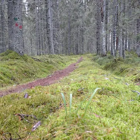 ホテル Original Sokos Koljonvirta 4*