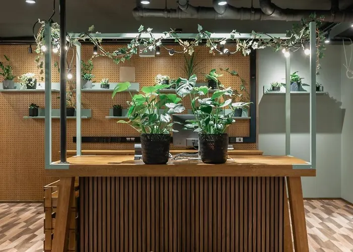 Original Sokos Koljonvirta イーサルミ