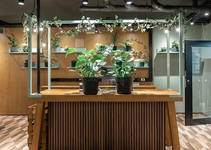 מלון Original Sokos Koljonvirta 4*