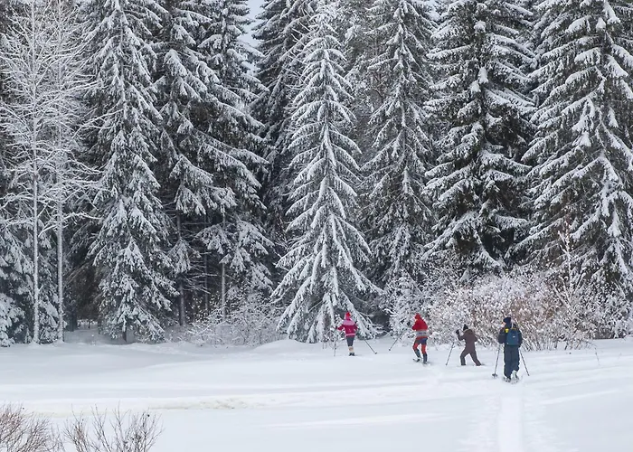 Original Sokos Koljonvirta ホテル イーサルミ