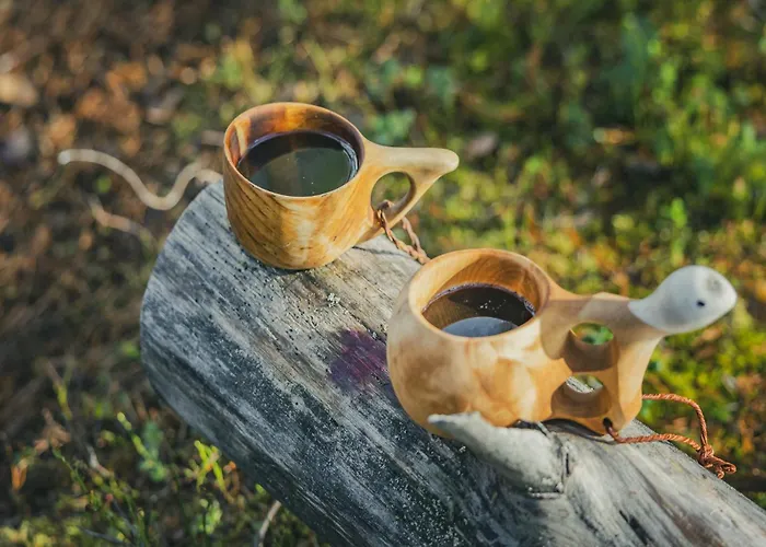 ホテル Original Sokos Koljonvirta 4*