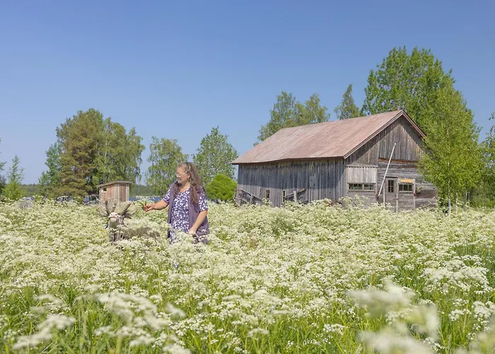 Original Sokos Koljonvirta