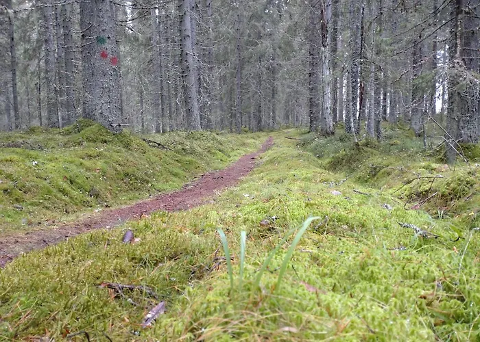 Hotell Original Sokos Koljonvirta 4*