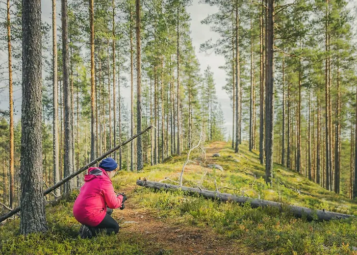 Original Sokos Koljonvirta ホテル 4*